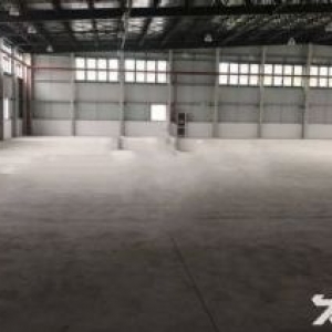 闵行颛桥全单层500平起厂房出租 层高7米