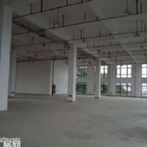 车墩全新独院无公摊厂房高度7.5 米大小面积可分