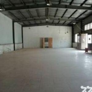 s20申江路 单层底楼180和270平̳