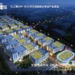 宝山工业园区新建多层可分割出租500平起 开发商