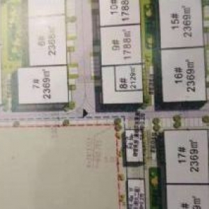 上海金山和浙江嘉兴平湖交汇处三层独栋价格