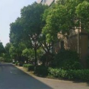 一房东，大虹桥北九亭工业区，独立层面1800平方左右，151