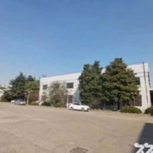 九亭中心路附近48000平方12栋单层高10米厂房仓库出租，