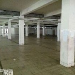 一房东无公摊，九亭连富路园区2600平方独栋三层和1050平