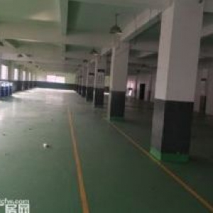 自有产权的标准厂房、门面、仓库、办公楼出租(上海嘉定江桥金园