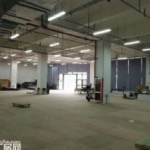 张江广兰路地铁站 底楼1000平 马