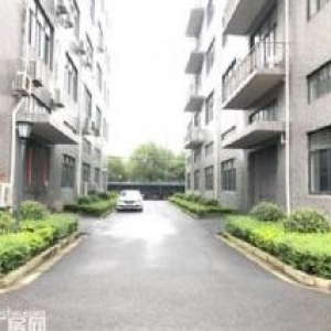 车墩无公摊独栋厂房每层面1408平米单价0.9元含税可分层出