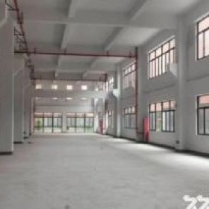 金山工业区稀有新建独栋厂房3300平米出售单价仅7500元每