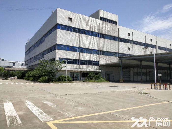 金桥：独门独院厂房仓库——可分割500平起，层高10米，104板块