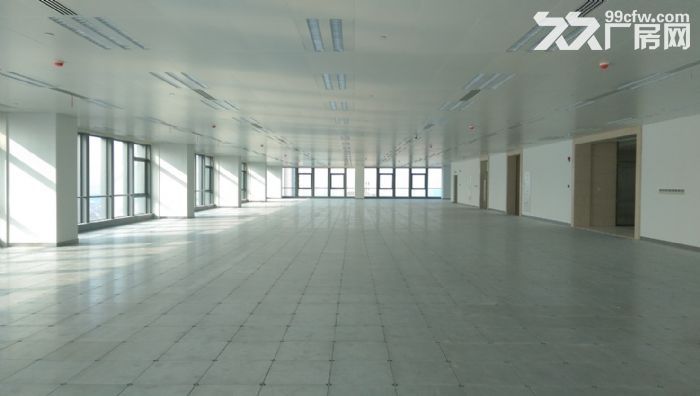 【可注册，跨境电商，物流，船舶】整层办公，企业总部，保税仓库-图6