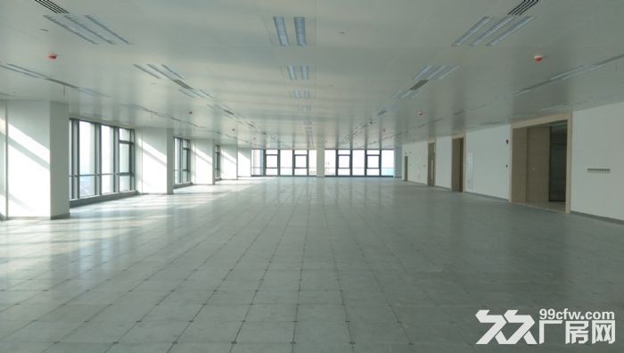 【可注册，跨境电商，物流，船舶】整层办公，企业总部，保税仓库-图3