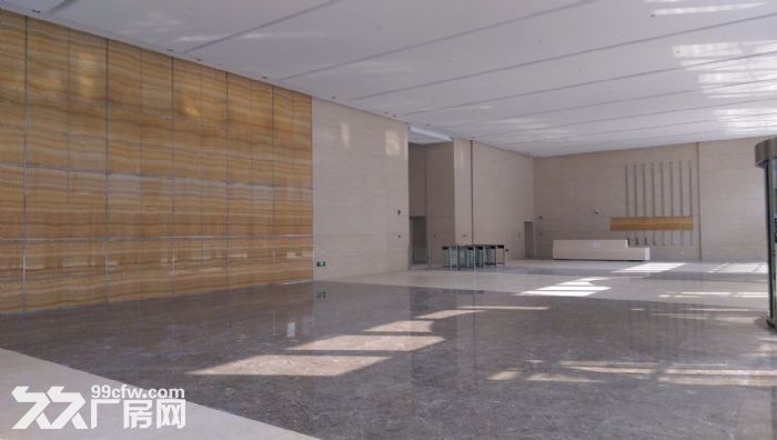 【可注册，跨境电商，物流，船舶】整层办公，企业总部，保税仓库-图5