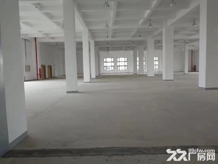 奉浦独门独院48000平方4层标准厂房-图2