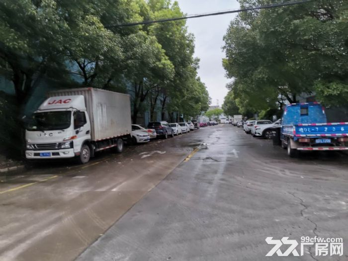 0.6元出租赵巷工业园区104地块有环氧可分租-图2