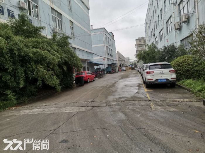 0.6元出租赵巷工业园区104地块有环氧可分租-图3