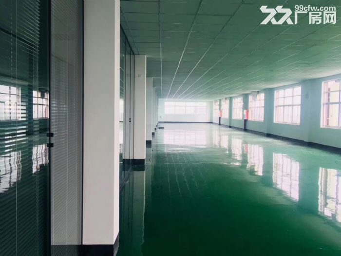 松江新城近万达全新园区精装修车间130,150,180平米分割形象好-图2