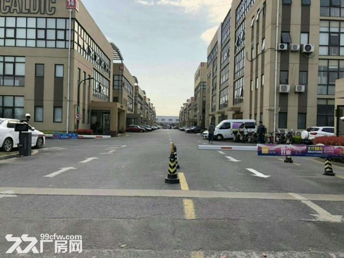 西渡一房东形象超好1150厂房出租(适合展厅 电商，仓库)