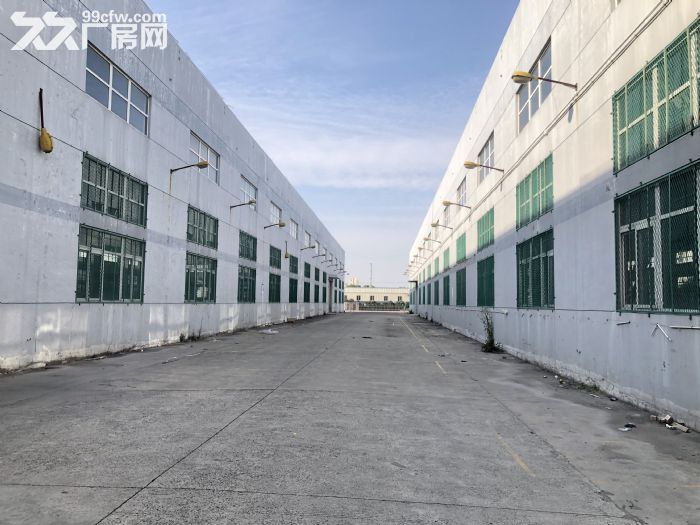 松江保税区无税收要求实地落户即可独栋5100平米单层厂房出租