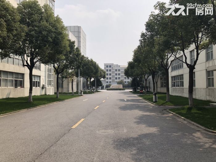 新桥104板块无税收要求小面积200至500平米可分割-图4