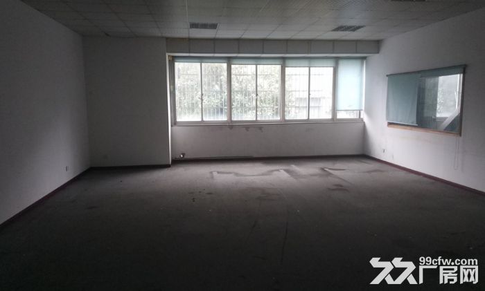 闵行江川路单层厂房出租 带喷淋 层高8米 104地块 适合设备加工仓储、交通方便-图2