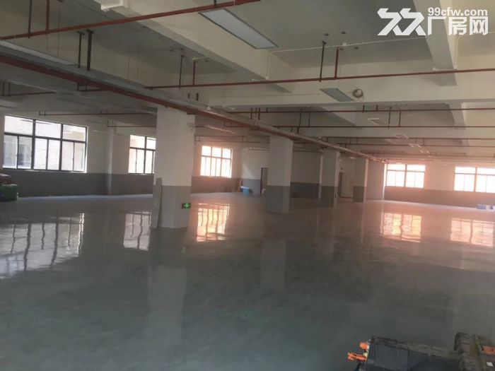 车墩一房东独立层面800平米车间单价0.8元含税位置好