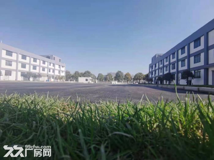 沪松公路广富林路一楼厂房3000平出租 269平起分租 电量大-图6