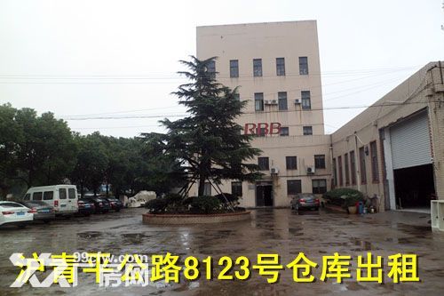 青浦练塘标准厂房仓库出租  非中介