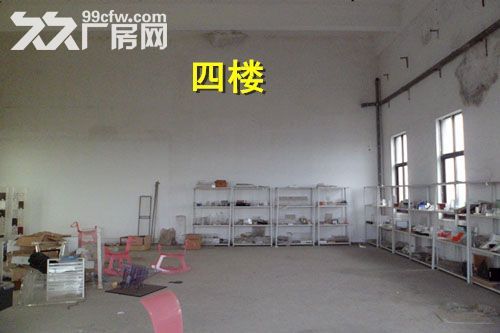 青浦练塘标准厂房仓库出租  非中介-图5