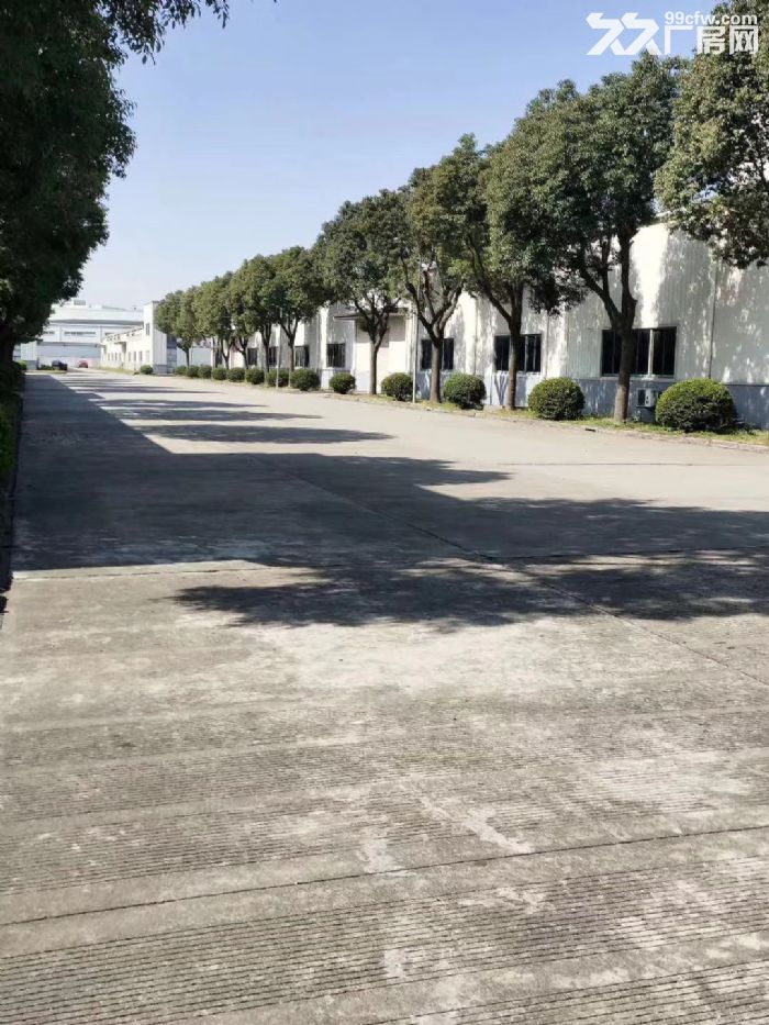 松江工业区无公摊独栋单层厂房2500平米出租，位置形象好