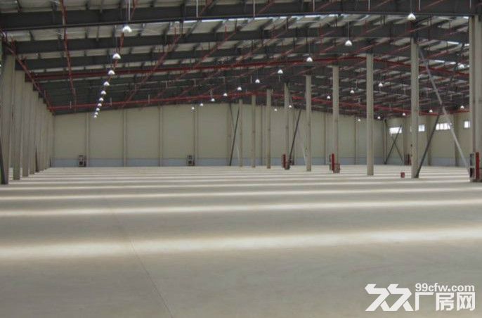 闵行新虹全单层700平厂房出租 周转场地45米 层高8米 、交通方便-图2