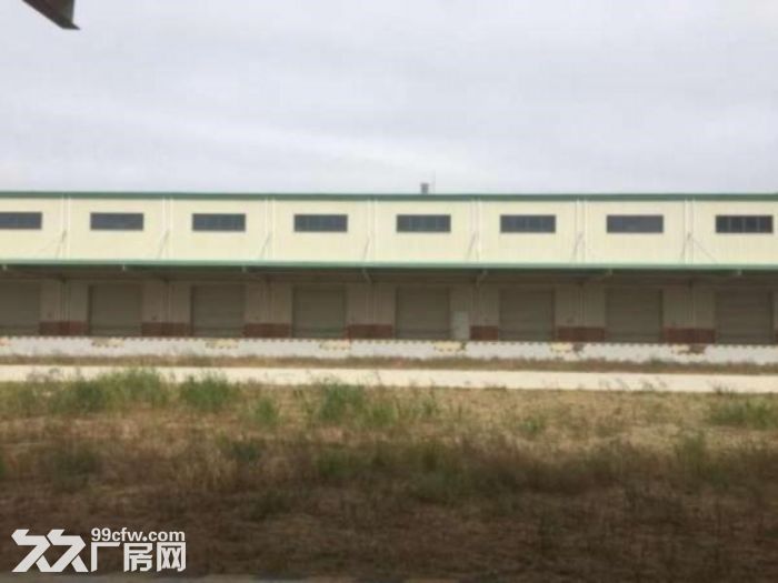 浦东临港工业园区 独门独院 12500平厂房 可加工 可生产 可环评