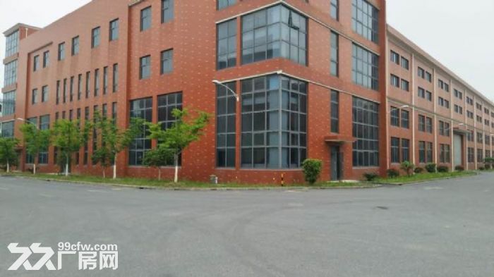 临港万祥工业园区 独门独院 7000平 层高11米 自带卸货平台