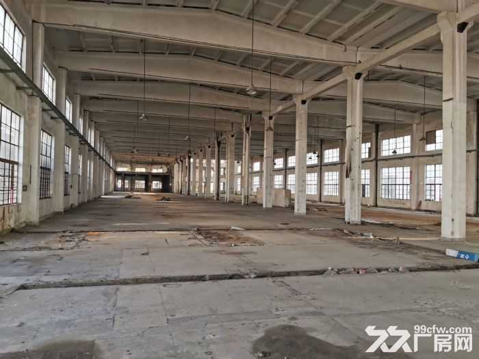 九亭单层10米厂房，500平起租，适合仓储电商，影视拍摄，场地大，大车好进、交通