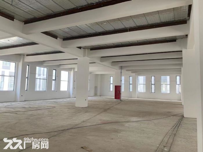 马桥镇园区厂房整栋4500平 104地块可注册环评 租金便宜 近地铁 可研发生产-图2