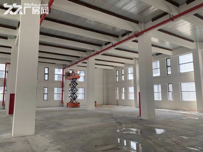 马桥镇园区厂房整栋4500平 104地块可注册环评 租金便宜 近地铁 可研发生产-图3