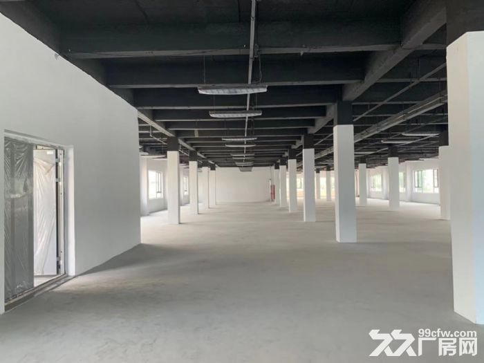 莘庄工业区 104地块2000平 可注册环评-图2