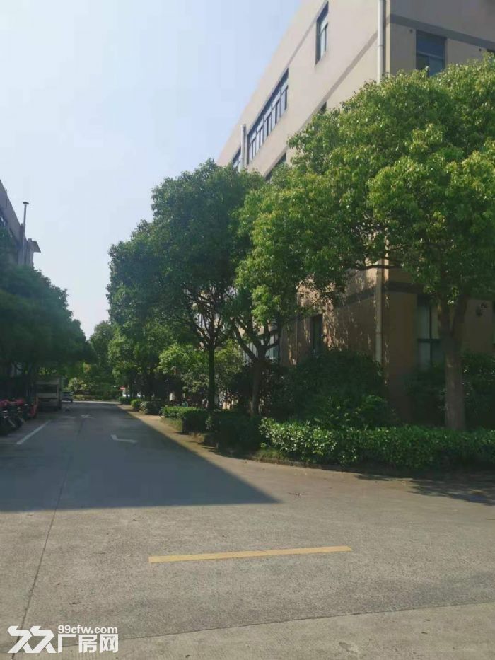 一房东，大虹桥北九亭工业区，独立层面1800平方左右，151平方起租，104地块