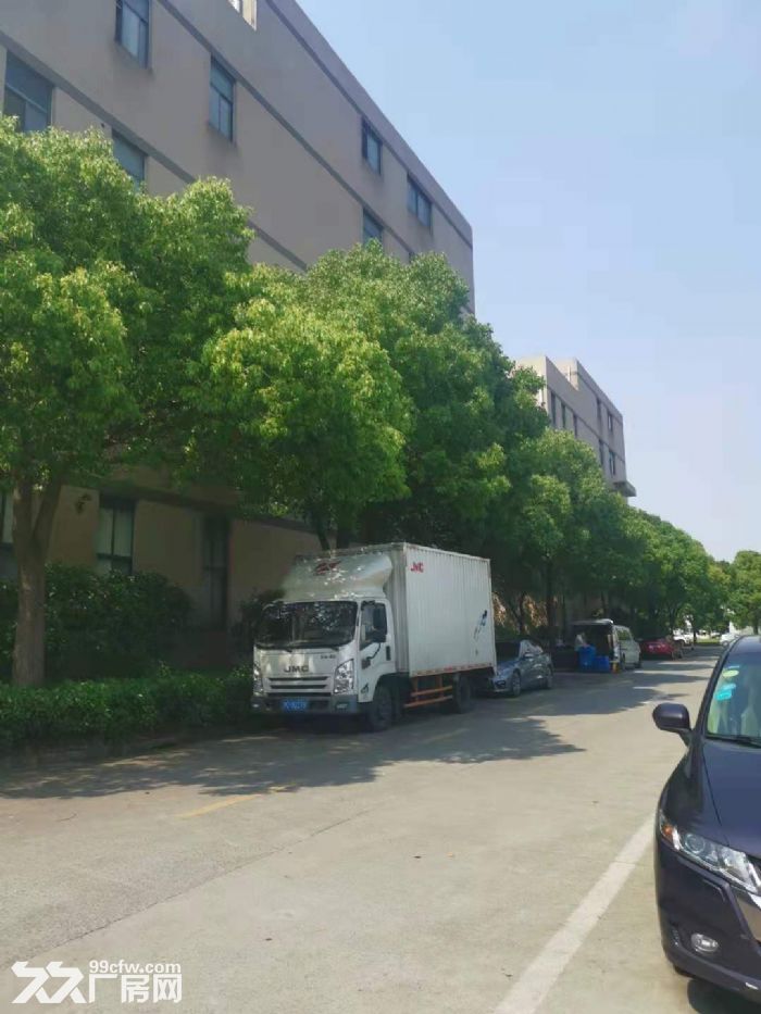 一房东，大虹桥北九亭工业区，独立层面1800平方左右，151平方起租，104地块-图2