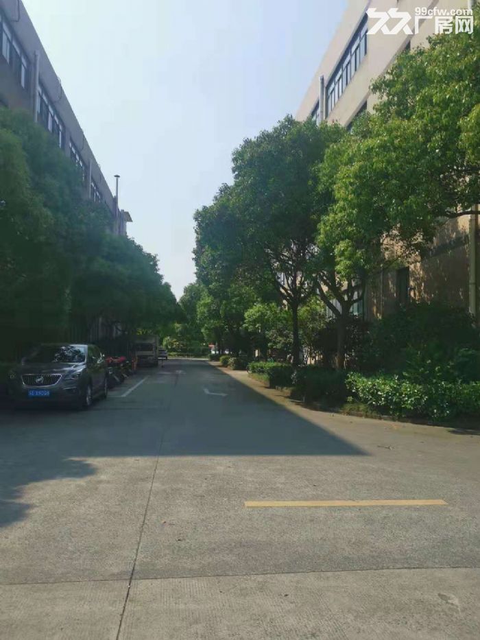 一房东，大虹桥北九亭工业区，独立层面1800平方左右，151平方起租，104地块-图3