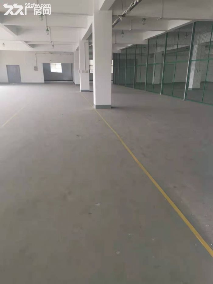 一房东，大虹桥北九亭工业区，独立层面1800平方左右，151平方起租，104地块-图5