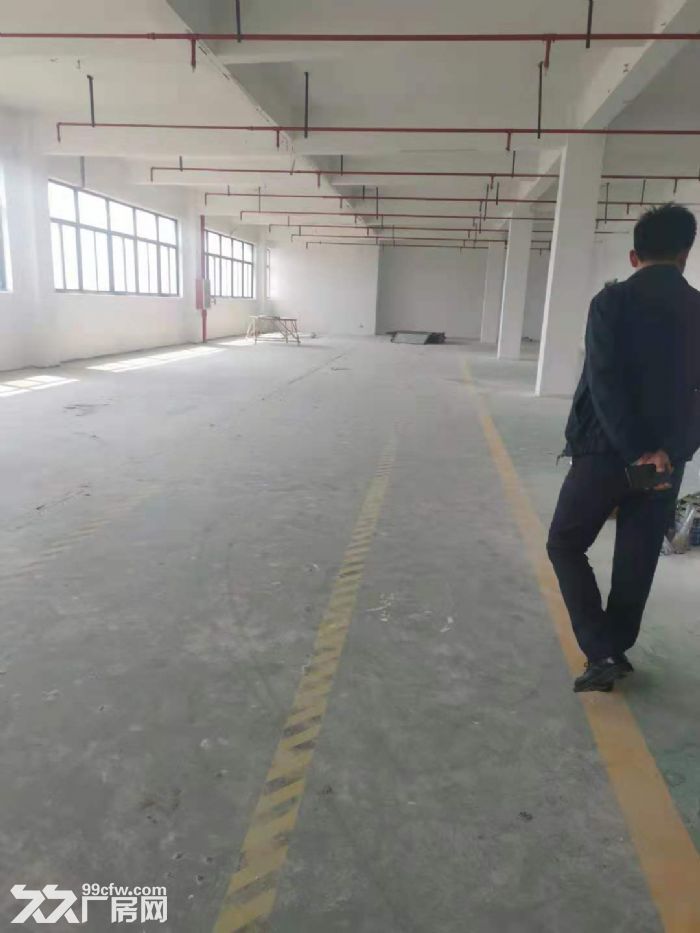 一房东，大虹桥北九亭工业区，独立层面1800平方左右，151平方起租，104地块-图6