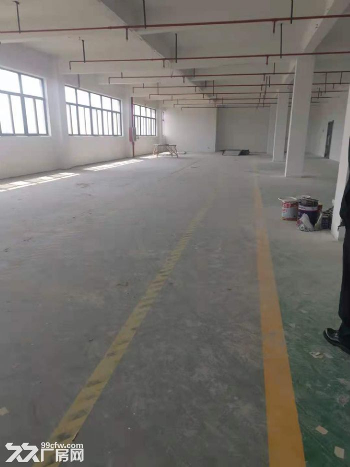 一房东，大虹桥北九亭工业区，独立层面1800平方左右，151平方起租，104地块-图7