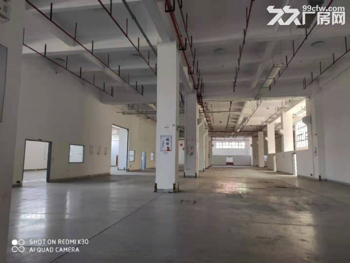 车墩比亚迪园区附近43000平方高端厂房仓库出租，大小自由分割，104地块-图6