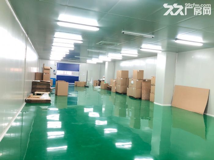 车墩104板块无公摊独立层面精装修车间1580平米价格含税