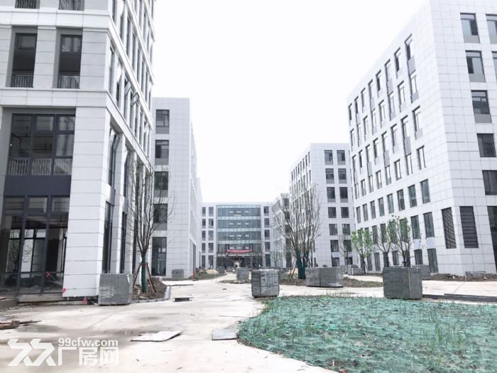 开发商直租、无中介费、价格可谈、政府支持