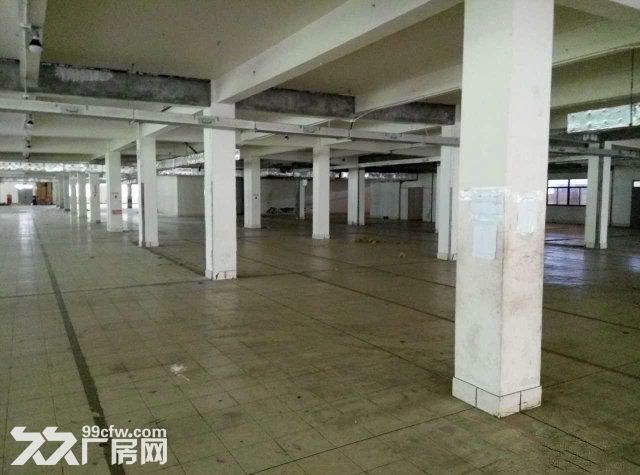 一房东无公摊，九亭连富路园区2600平方独栋三层和1050平方2楼厂房仓库出租