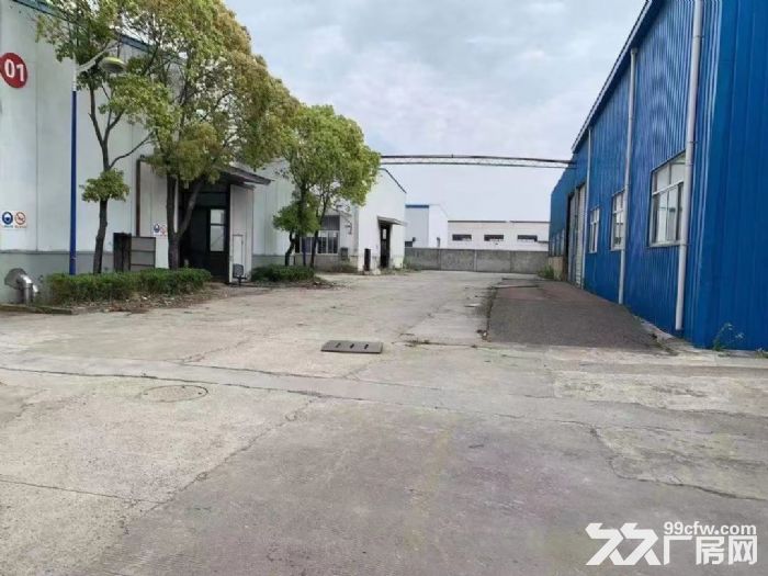 金汇单层独栋3000−5000平厂房出租