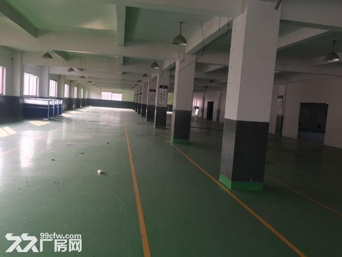 自有产权的标准厂房、门面、仓库、办公楼出租(上海嘉定江桥金园一路)