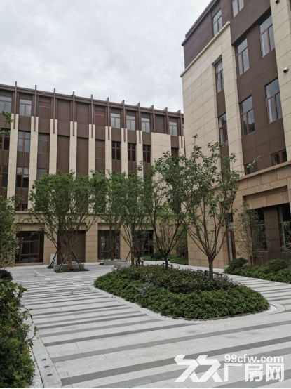 (正规产业园最低价)松江新桥最后两层租赁，距离高速两公里-图3