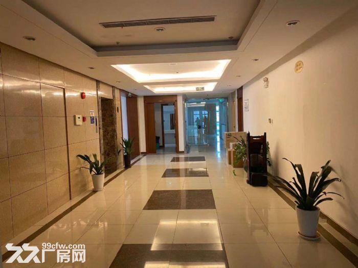 张江日月光可环评，招医药器械新材料化工类，智能精密研发等